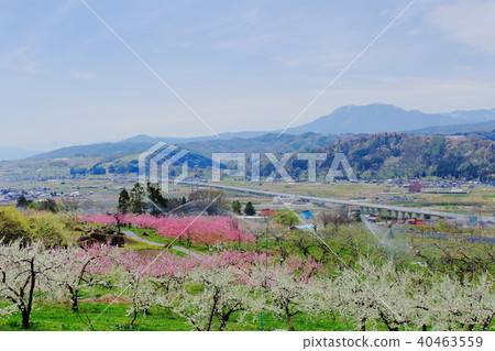 Beautiful scenery of Shinshu 201805 Beautiful scenery of Shinshu 201805 40463559