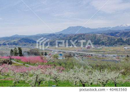 Beautiful scenery of Shinshu 201805 40463560