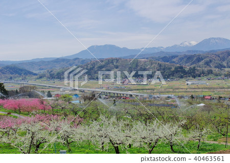 Beautiful scenery of Shinshu 201805 Beautiful scenery of Shinshu 201805 40463561