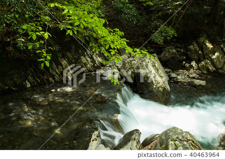 新鮮的綠色和瀑布 40463964