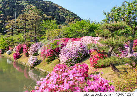Iwakuni Yoshikako Park moat Satsuki 40464227