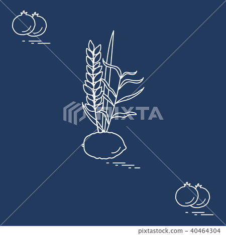 Pomegranate and Lulav - symbolic attribute of the Pomegranate and Lulav - symbolic attribute of the 40464304