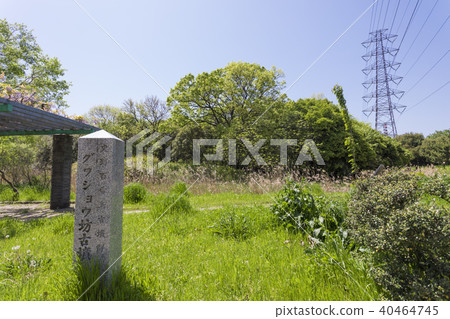 Daisen公園的Gwasho植物園 40464745