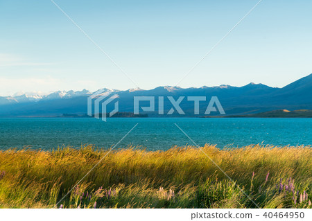 Beautiful Lake Tekapo with mountain background Beautiful Lake Tekapo with mountain background 40464950