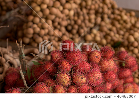 Fresh and ripe rambutan fruits lies in market Fresh and ripe rambutan fruits lies in market 40465007
