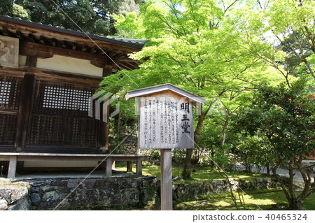 Junctionori Kaido-do Junctionori Kaido-do 40465324