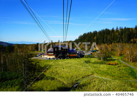 北海道Asahidake秋葉 40465746