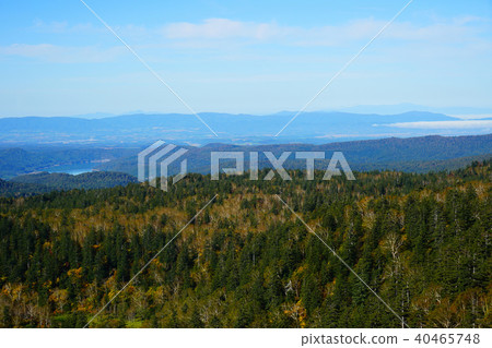 北海道Asahidake秋葉 40465748