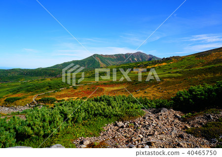 北海道Asahidake秋葉 北海道Asahidake秋葉 40465750