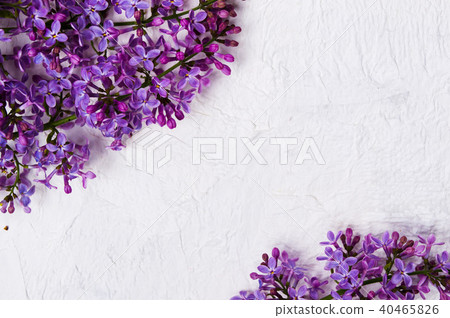 Lilac flowers arrangement on white fabric Lilac flowers arrangement on white fabric 40465826