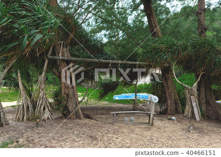Amateur open air gym at the beach under palms   40466151