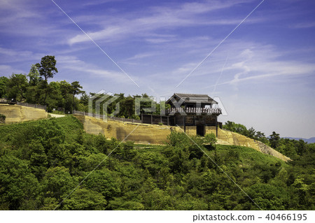 鬼野城堡 鬼野城堡 40466195