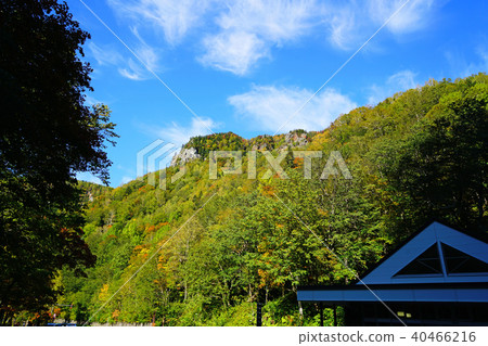 Hokkaido Galaxy Falls Fall leaves 40466216