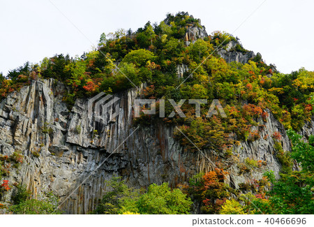 北海道層雲峽秋葉 40466696