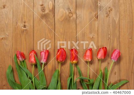 tulips are on wooden boards, greeting concept 40467000