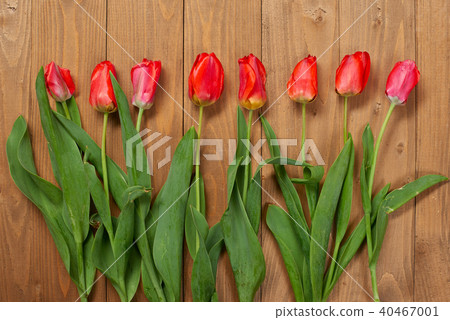 tulips are on wooden boards, greeting concept 40467001