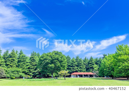 Mitsuigaoka公園風景在Nerima病區,東京 Mitsuigaoka公園風景在Nerima病區,東京 40467152