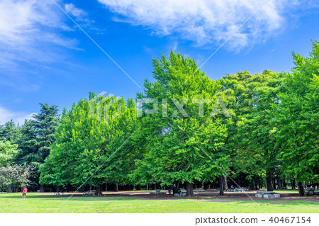 Mitsuigaoka公園風景在Nerima病區,東京 Mitsuigaoka公園風景在Nerima病區,東京 40467154