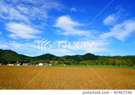 北海道北森花園 北海道北森花園 40467596