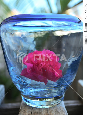 Bottle flower Bottle flower 40468420