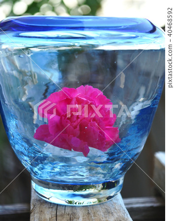 Bottle flower Bottle flower 40468592