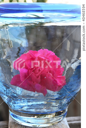 Bottle flower Bottle flower 40468594