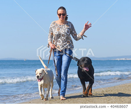 woman and dogs on the beach woman and dogs on the beach 40468607