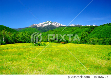 Norikura高原 - 瀨戶內地最內部的草原和Norikuradake 40468723