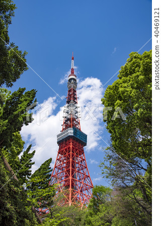 [Tokyo Tower fresh green] 40469121