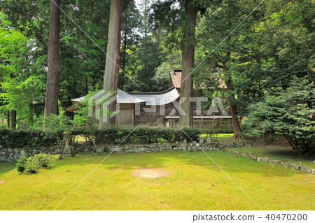 Fresh green bamboo shrine temple Fresh green bamboo shrine temple 40470200