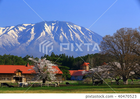 岩手山和農場 40470523