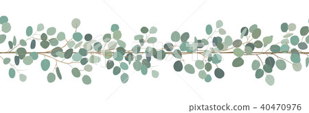 Elegant seamless border of a eucalyptus  40470976