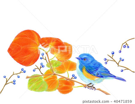 Fall landscape Fall landscape 40471859