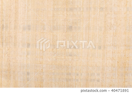 Papyrus surface photo from above Papyrus surface photo from above 40471891