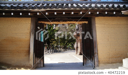 Nishinomiya shrine shrine _4 40472219