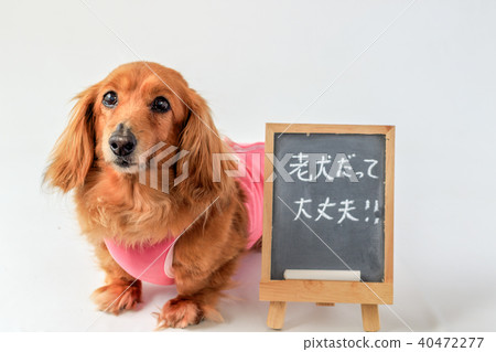 乳腺腫瘤手術後達克斯 40472277