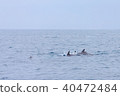 Tsujimoto's whale watching 40472484