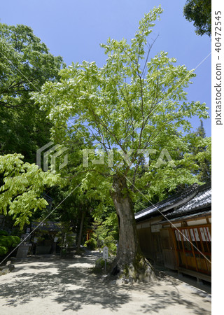 一個字神社 一個字神社 40472545