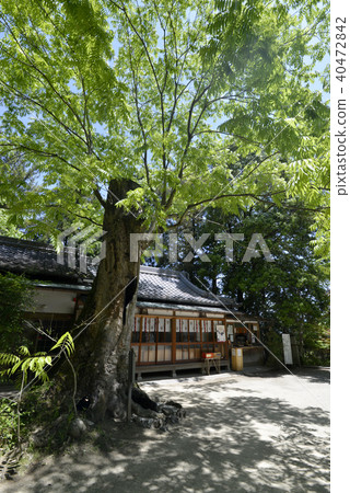 Shinshushin Shrine Mukuroji 40472842