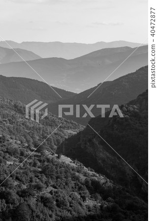 Moody spring riverbed landscape in black and white 40472877
