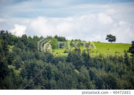 Beautiful May Bulgarian spring sunny landscape Beautiful May Bulgarian spring sunny landscape 40472881
