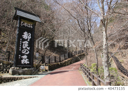 Hinonohara Tominashi Forest Forest officer Hinonohara Tominashi Forest Forest officer 40473135