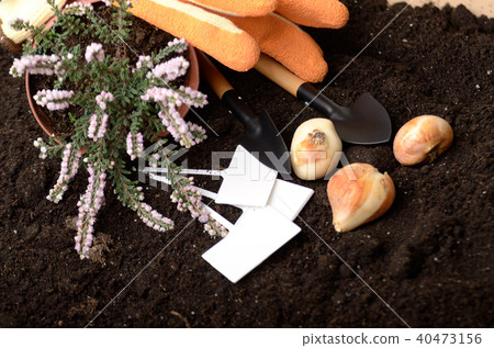 Gardening tools of shovel rake labels  40473156