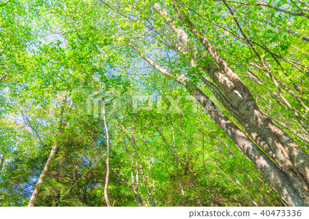 Fresh green and eco image Fresh green and eco image 40473336