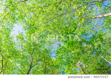 Fresh green and eco image 40473337