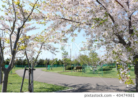 Ogi airport green spaces park golf course 40474981