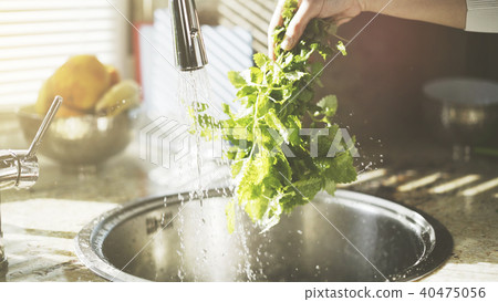 A woman washes greenery neetle mint in the kitchen 40475056