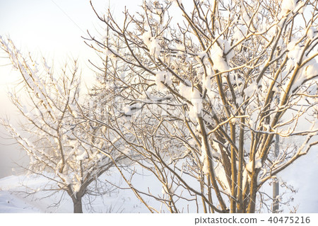 雪景 雪景 40475216