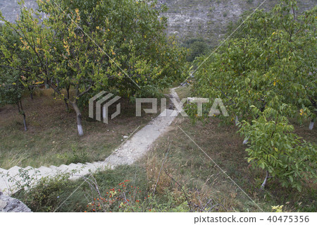 Beautiful autumn orhard. Beautiful autumn orhard. 40475356
