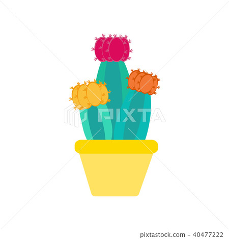 Cactus on the pot illustration Cactus on the pot illustration 40477222